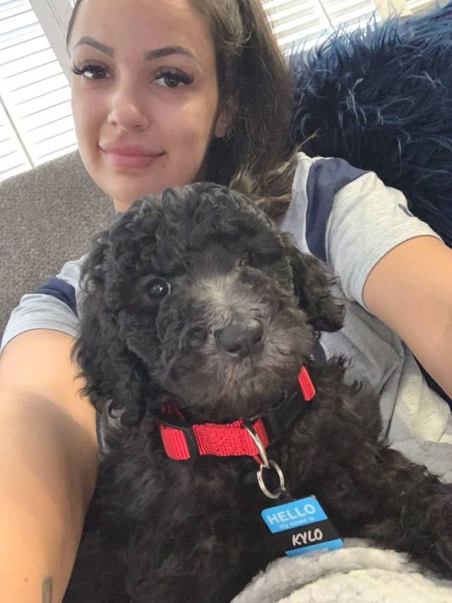 Text ME ON  +1 (304) 629-9910 I OFFER BLOW JOB 🍑AND ANAL🍑 SEX🍆🚗AND ALL SORTS OF SEX FUN™️ HOT GIRL 🍭🫶🏻❤️ NICE BOOBS🍭🍭 AND ASS - Image 3